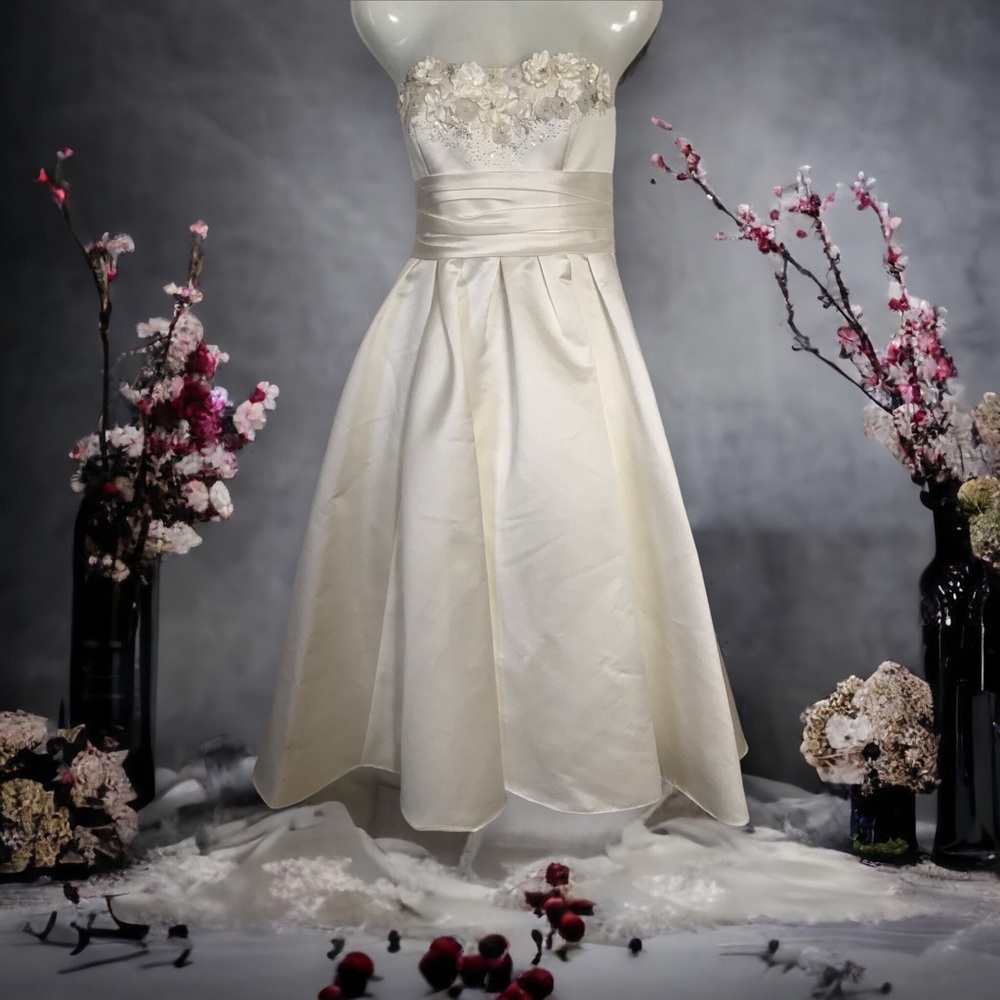 Wedding Dress Strapless Ivory David’s Bridal Brand Galina
